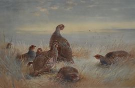 After Archibald Thorburn (British 1860-1935) Signed artists proof(Facsimile in Colour) 'Frosty