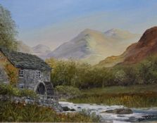*Local Interest* Ann Celin (British Contemporary) Oil on board, a charming Lake District scene of