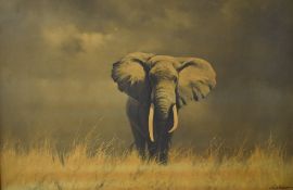 After David Shepherd (British 1931 - 2017) 20th century lithograph on board 'Wise Old Elephant'