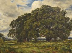 A late 19th/early 20th century English school oil on canvas, pastoral scene with large trees and