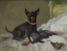 G Boag (19th Century) oil on board, a small dog in vibrant collar with puppet on a bed, signed a