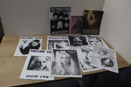 A selection of Blondie ' Picture This ' fanzine - hard to find - and books - a really interesting