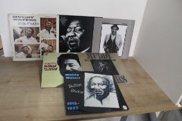 A lot of Muddy Waters albums VG/VG+ - six in total