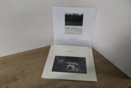 A Joy Division ' Closer ' press in VG/VG with a NM/NM 12' - A nice Lot of two records