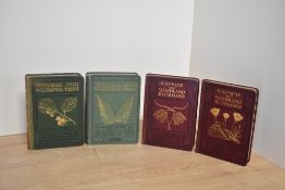 Natural History. Wayside and Woodland series. Blossoms, series 1 & 2 (1909); Woodland Trees (no