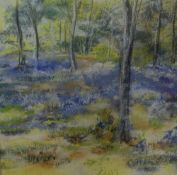 Karen Neild (British contemporary) Pastel 'Spring Harmony', an attractive woodland scene, signed