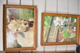 Two modern framed art prints, comprising: a cow, 33.5 × 23.5 cm, and a floral scene, 33.5 × 25 cm (
