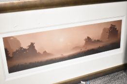 An oil on board depicting an autumn scene 85cm x 58cm sold with a muted misty morning scene