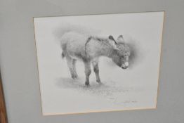 A limited edition monochromatic study of a Donkey 484/600 signed Geldart to lower right hand corner,