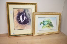 After Elaine Franks (British Contemporary) lithograph 'Young Saw Badger' a detailed depiction of a
