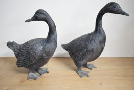 A pair of unusual Chinese cast and patinated brass duck studies, each of near life size naturalistic