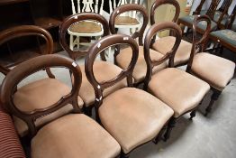 A set of eight Victorian mahogany balloon back dining chairs having later dralon upholstered