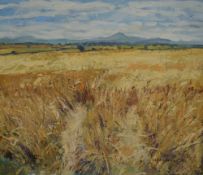 *Local Interest* June Bennett (British 1935 - 2013) Oil on canvas 'Skiddaw from the Solway, Late