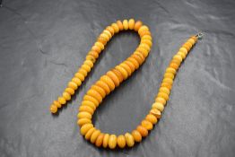 A string of graduated butterscotch amber button style beads having a hook and loop clasp, approx 20'