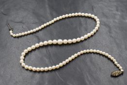 A string of cultured pearls of graduated form having a diamante set silver clasp, approx 17' long