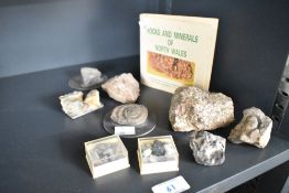 A collection of rocks, minerals, and a small mounted ammonite fossil, accompanied by a Geological