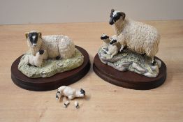 Two Border Fine Arts animal groups 'Black Faced Ewe & Lamb' model number 124 designed by Ray Ayres