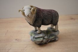 A limited edition J Anne Butler (Ex Border Fine Arts) Lakeland Traditions Herdwick Ram study,