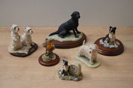 Six Border Fine Arts animal studies to include 'Labrador' (Black) model number DL6B designed by