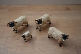 A group of four Border Fine Arts pottery Swaledale sheep comprising two rams, one ewe and one lamb.
