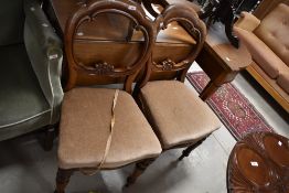 A pair of Victorian mahogany balloon back dining chairs having overstuffed seats and later beige