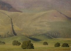 *Local Interest* Alan Stones (British 1947) Lithograph 'Contour' a study of a hillside in neutral