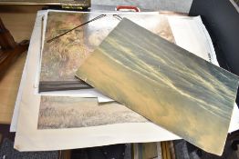 A selection of pictures, prints and posters contained in artists carrying case.