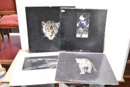 Four Vintage Jaguar calendars 1993-96 all signed by the illustrator John Beecham