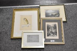 A selection of 20th-century framed prints, to include a sweet short-eared owl; a study of a female