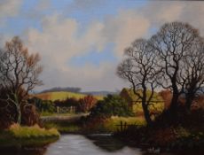 Vincent Selby (British 1919-2004) oil on canvas, rural river scene with courting ducks, signed lower