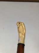 Bird handle walking cane