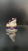 Royal Crown Derby porcelain frog paperweight, richly decorated in the Imari palette with gilded
