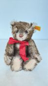 Steiff mohair teddy bear with original yellow ear