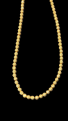 9ct Gold necklace Weight 17.1g