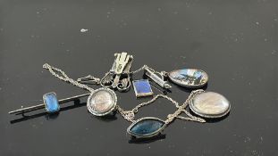 Butterfly wing jewellery
