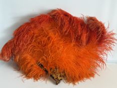 Ostrich feathers fan with tortoise shell handle