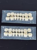 2 Anatomical diatoris teeth samples shape & size