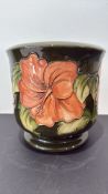 Moorcroft ‘Hibiscus’ tube-lined earthenware jardiniere