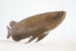 Bronze carp fish