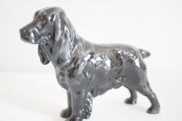 Royal Doulton cocker spaniel HN1020``