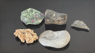 Five assorted mineral and fossil specimens