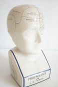 Large Phrenology head