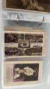 Album of 140 vintage canine postcards