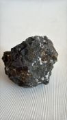 Amygdaloidal Basalt Specimen