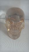 Clear plastic skull paperweight