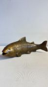 Bronze carp fish