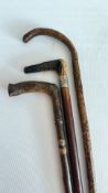Group of three rustic wooden walking sticks