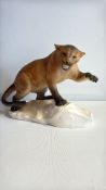 Beswick Puma on a rock