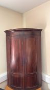 Georgian mahogany bow-front corner cupboard