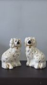 Pair of Royal Doulton Staffordshire dogs 1378-6